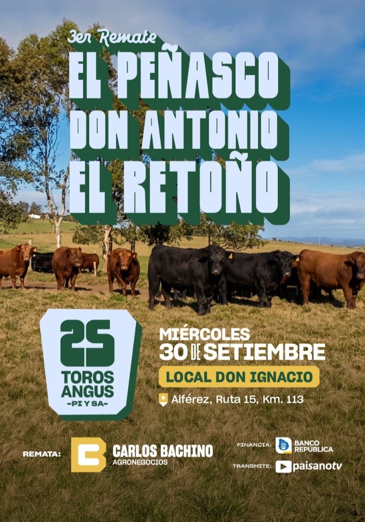 EL PEÑASCO, DON ANTONIO Y EL RETOÑO