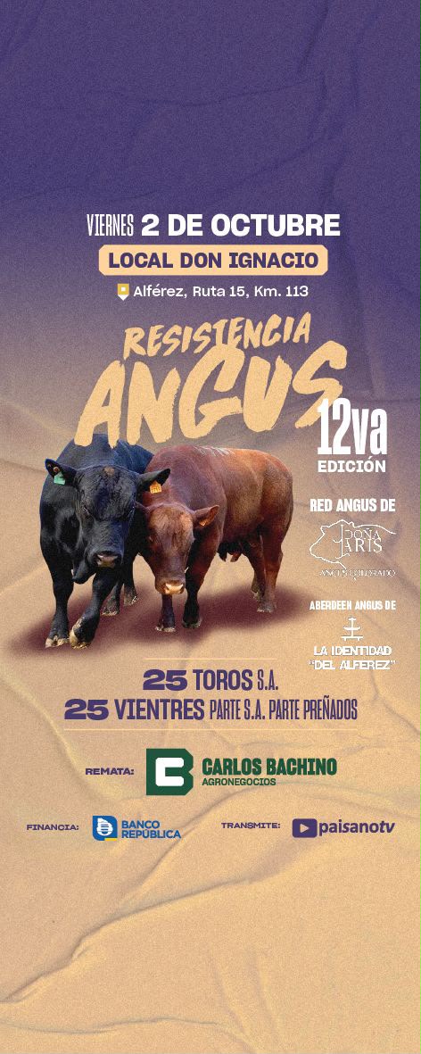 RESISTENCIA ANGUS 12va edición 2026