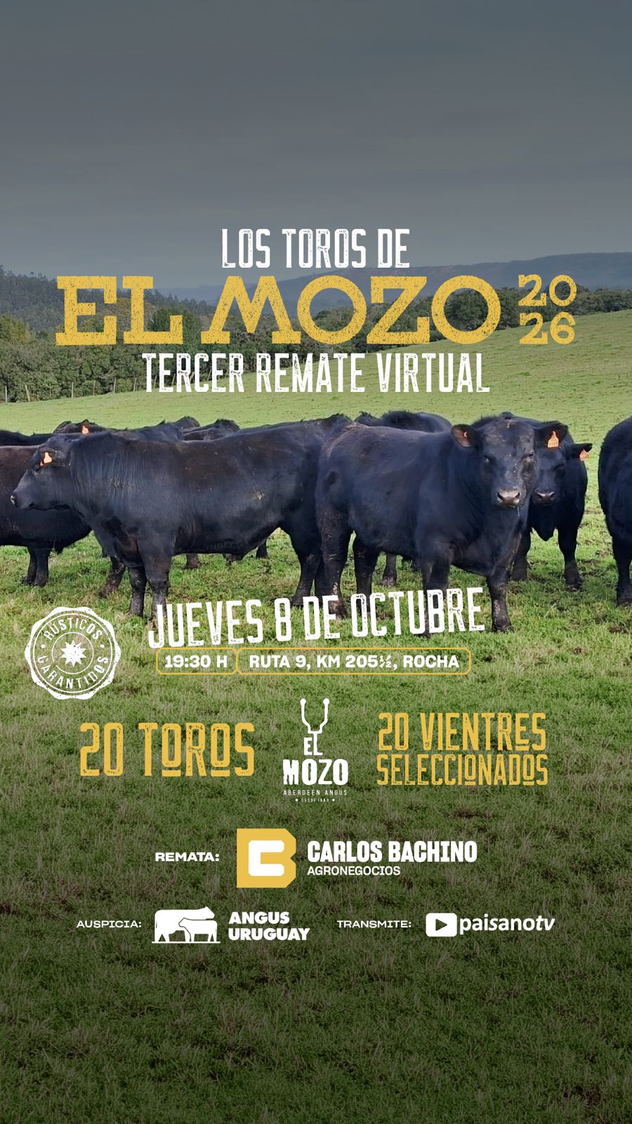 EL MOZO