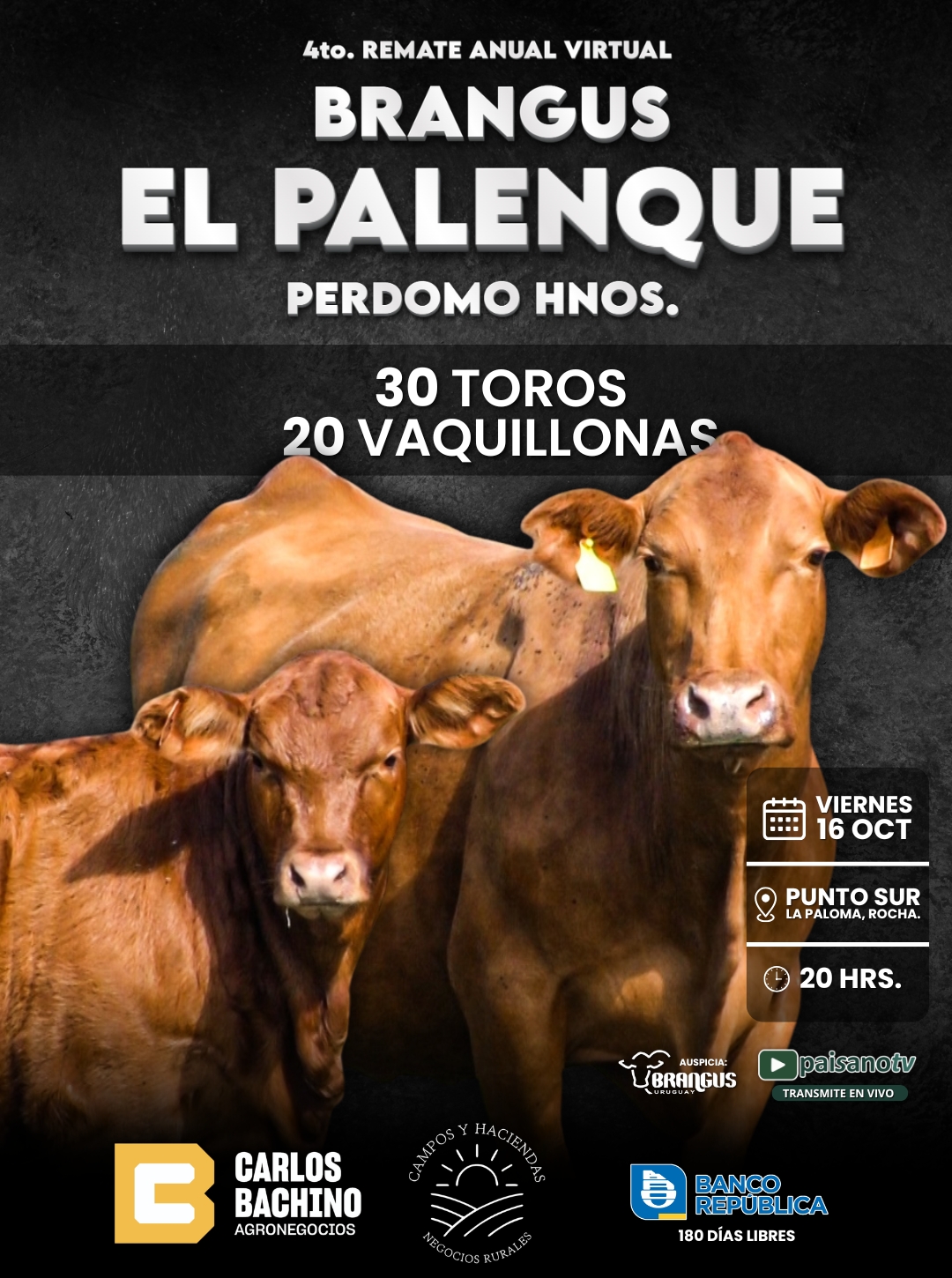 EL PALENQUE Brangus 2026